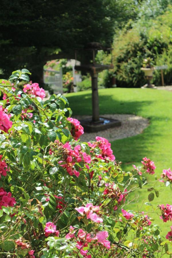 Dunmore Gardens Carrigans  Exteriör bild